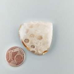 Corallo Fossile Naturale Forma Cuore Piatto Cabochon Liscio Fatto a Mano 30X29mm 7,74gm 1pz