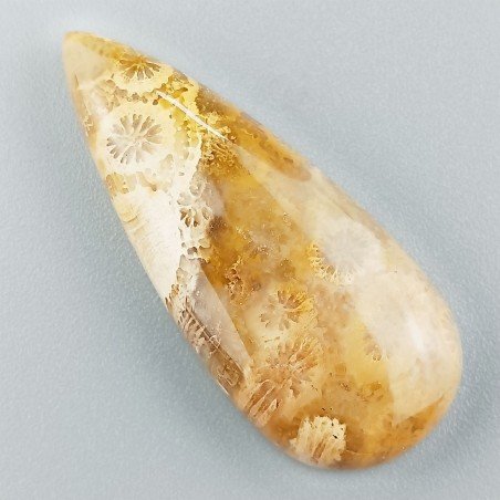 Corallo Fossile Naturale Forma Goccia Piatto Cabochon Liscio Fatto a Mano 39X16X6mm 6,88gm 1pz