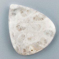 Corallo Fossile Naturale Forma Goccia Piatto Cabochon Liscio Fatto a Mano 33X28mm 6,81gm 1pz