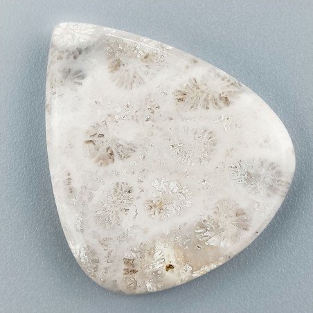 Corallo Fossile Naturale Forma Goccia Piatto Cabochon Liscio Fatto a Mano 33X28mm 6,81gm 1pz