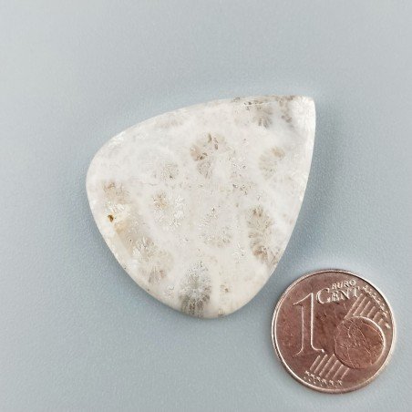 Corallo Fossile Naturale Forma Goccia Piatto Cabochon Liscio Fatto a Mano 33X28mm 6,81gm 1pz