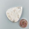 Corallo Fossile Naturale Forma Goccia Piatto Cabochon Liscio Fatto a Mano 33X28mm 6,81gm 1pz