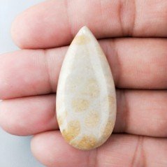 Corallo Fossile Naturale Forma Goccia Piatto Cabochon Liscio Fatto a Mano 41X20mm 8,23gm 1pz