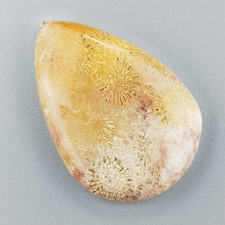Corallo Fossile Naturale Forma Goccia Piatto Cabochon Liscio Fatto a Mano 34X23mm 6,26gm 1pz