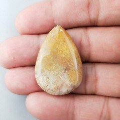Corallo Fossile Naturale Forma Goccia Piatto Cabochon Liscio Fatto a Mano 34X23mm 6,26gm 1pz Corallo Fossile Naturale Forma Goccia Piatto Cabochon Liscio Fatto a Mano 34X23mm 6,26gm 1pz