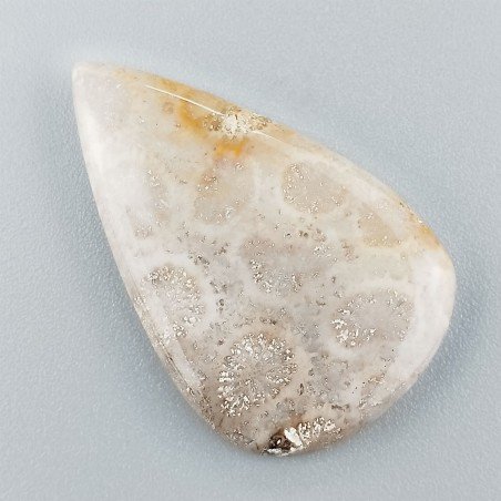 Corallo Fossile Naturale Forma Goccia Piatto Cabochon Liscio Fatto a Mano 33X21X3mm 4,30gm 1pz
