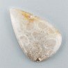 Corallo Fossile Naturale Forma Goccia Piatto Cabochon Liscio Fatto a Mano 33X21X3mm 4,30gm 1pz