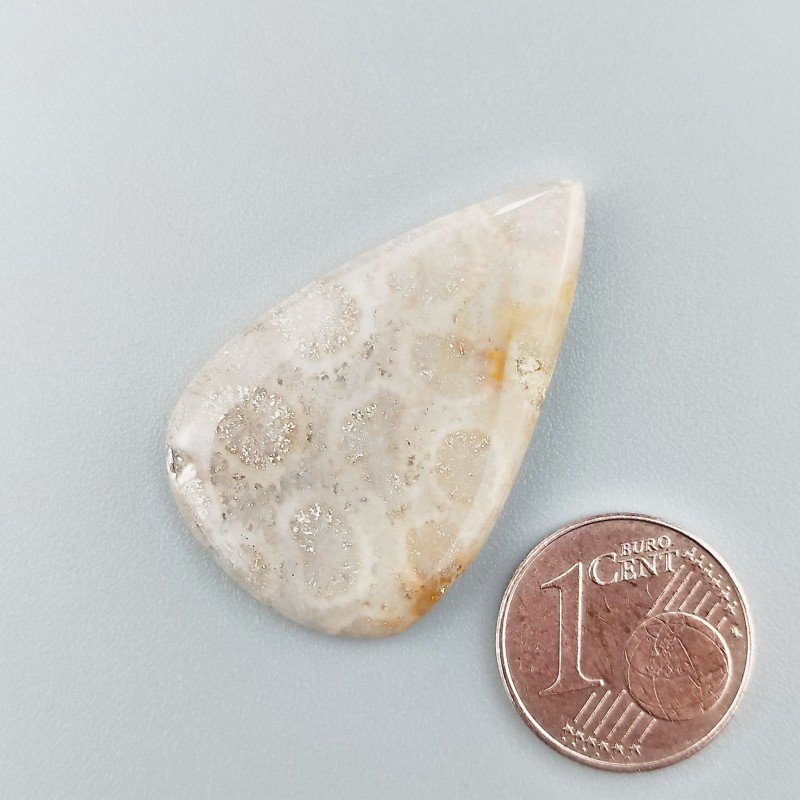 Corallo Fossile Naturale Forma Goccia Piatto Cabochon Liscio Fatto a Mano 33X21X3mm 4,30gm 1pz