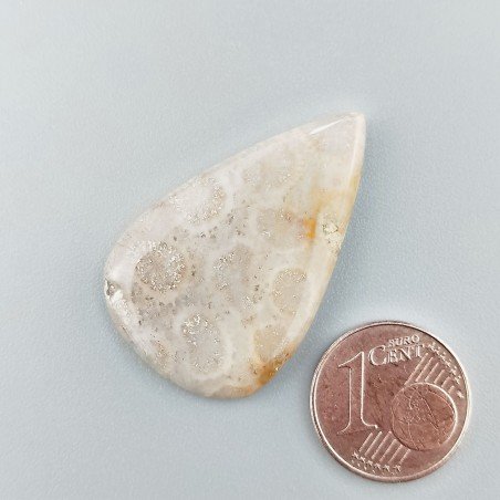 Corallo Fossile Naturale Forma Goccia Piatto Cabochon Liscio Fatto a Mano 33X21X3mm 4,30gm 1pz