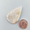 Corallo Fossile Naturale Forma Goccia Piatto Cabochon Liscio Fatto a Mano 33X21X3mm 4,30gm 1pz