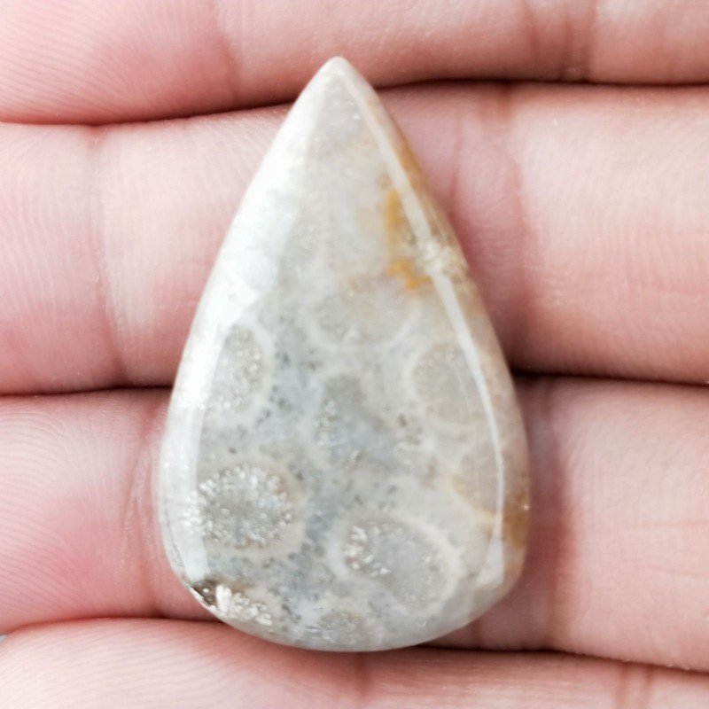 Corallo Fossile Naturale Forma Goccia Piatto Cabochon Liscio Fatto a Mano 33X21X3mm 4,30gm 1pz