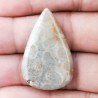 Corallo Fossile Naturale Forma Goccia Piatto Cabochon Liscio Fatto a Mano 33X21X3mm 4,30gm 1pz