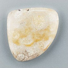 Corallo Fossile Naturale Forma Cuore Piatto Cabochon Liscio Fatto a Mano 28X24mm 5,11gm 1pz