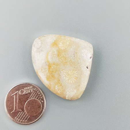 Corallo Fossile Naturale Forma Cuore Piatto Cabochon Liscio Fatto a Mano 28X24mm 5,11gm 1pz