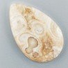 Corallo Fossile Naturale Forma Goccia Piatto Cabochon Liscio Fatto a Mano 36X23mm 7,17gm 1pz