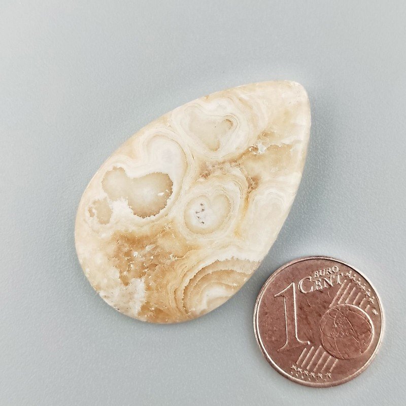 Corallo Fossile Naturale Forma Goccia Piatto Cabochon Liscio Fatto a Mano 36X23mm 7,17gm 1pz