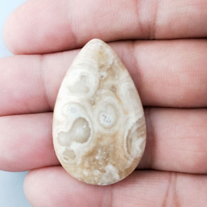 Corallo Fossile Naturale Forma Goccia Piatto Cabochon Liscio Fatto a Mano 36X23mm 7,17gm 1pz