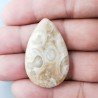 Corallo Fossile Naturale Forma Goccia Piatto Cabochon Liscio Fatto a Mano 36X23mm 7,17gm 1pz