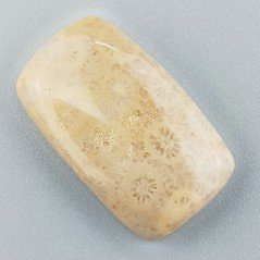 Corallo Fossile Naturale Forma Cuscino Piatto Cabochon Liscio Fatto a Mano 26X15X5mm 4,60gm 1pz