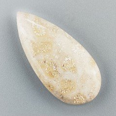 Corallo Fossile Naturale Forma Goccia Piatto Cabochon Liscio Fatto a Mano 32X15mm 3,60gm 1pz