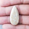 Corallo Fossile Naturale Forma Goccia Piatto Cabochon Liscio Fatto a Mano 32X15mm 3,60gm 1pz