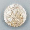 Corallo Fossile Naturale Forma Tondo Piatto Cabochon Liscio Fatto a Mano 19mm 2,27gm 1pz