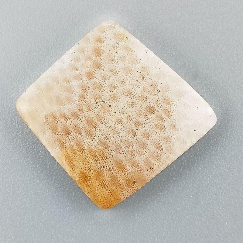 Corallo Fossile Naturale Forma Fantasia Piatto Cabochon Liscio Fatto a Mano 19X19mm 3,05gm 1pz