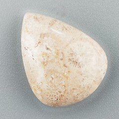 Corallo Fossile Naturale Forma Goccia Piatto Cabochon Liscio Fatto a Mano 22X17X6mm 3,54gm 1pz