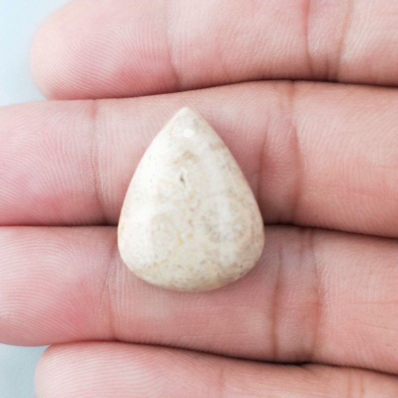 Corallo Fossile Naturale Forma Goccia Piatto Cabochon Liscio Fatto a Mano 22X17X6mm 3,54gm 1pz Corallo Fossile Naturale Forma Goccia Piatto Cabochon Liscio Fatto a Mano 22X17X6mm 3,54gm 1pz