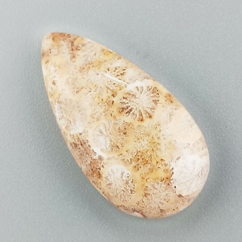 Corallo Fossile Naturale Forma Goccia Piatto Cabochon Liscio Fatto a Mano 30X16X7mm 5,03gm 1pz