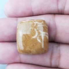 Corallo Fossile Naturale Forma Cuscino Piatto Cabochon Liscio Fatto a Mano 21X19X7mm 6,55gm 1pz