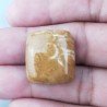 Corallo Fossile Naturale Forma Cuscino Piatto Cabochon Liscio Fatto a Mano 21X19X7mm 6,55gm 1pz