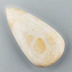 Corallo Fossile Naturale Forma Goccia Piatto Cabochon Liscio Fatto a Mano 31X17mm 4,85gm 1pz