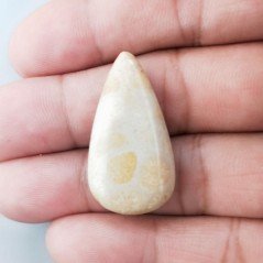 Corallo Fossile Naturale Forma Goccia Piatto Cabochon Liscio Fatto a Mano 31X17mm 4,85gm 1pz