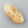 Corallo Fossile Naturale Forma Ovale Piatto Cabochon Liscio Fatto a Mano 29X14mm 3,59gm 1pz