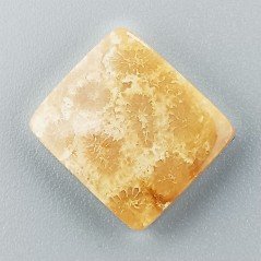 Corallo Fossile Naturale Forma Rettangolare Piatto Cabochon Liscio Fatto a Mano 15X14X4mm 2,11gm 1pz