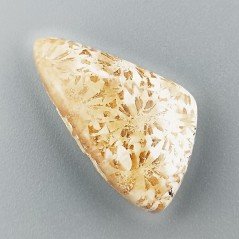 Corallo Fossile Naturale Forma Fantasia Piatto Cabochon Liscio Fatto a Mano 30X17mm 4,14gm 1pz