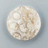 Corallo Fossile Naturale Forma Tondo Piatto Cabochon Liscio Fatto a Mano 19mm 2,68gm 1pz