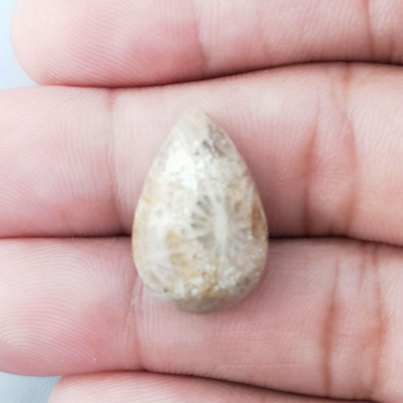 Corallo Fossile Naturale Forma Goccia Piatto Cabochon Liscio Fatto a Mano 20X13mm 2,71gm 1pz