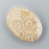 Corallo Fossile Naturale Forma Ovale Piatto Cabochon Liscio Fatto a Mano 21X16mm 2,40gm 1pz