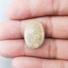 Corallo Fossile Naturale Forma Ovale Piatto Cabochon Liscio Fatto a Mano 21X16mm 2,40gm 1pz