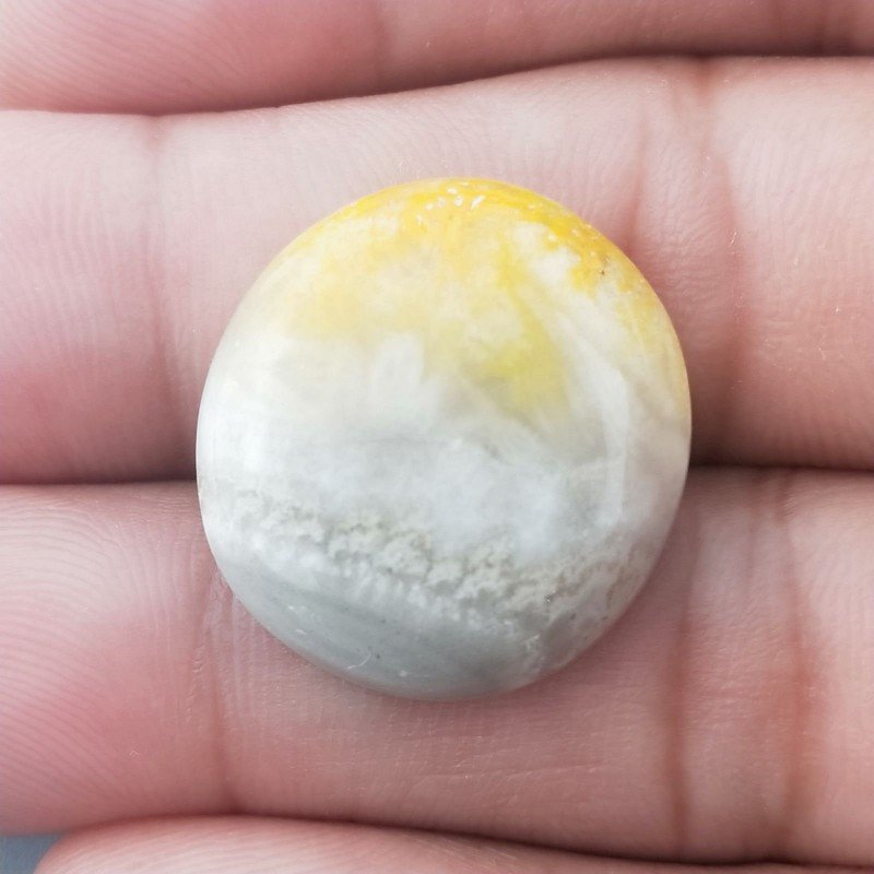 Diaspro Bumble Bee Naturale Forma Tondo Piatto Cabochon Liscio Fatto a Mano 22mm 4.33gm 1pz