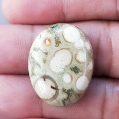 Diaspro Zebrato Marrone Naturale Forma Ovale Piatto Cabochon Liscio Fatto a Mano 26X21mm 6.50gm 1pz