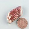 Diaspro Zebrato Marrone Naturale Forma Fantasia Piatto Cabochon Liscio Fatto a Mano 30X15mm 7,43gm 1pz