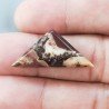 Diaspro Zebrato Marrone Naturale Forma Triangolare Piatto Cabochon Liscio Fatto a Mano 31X14mm2,48gm 1pz