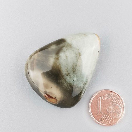 Diaspro Poligramma Naturale Forma Goccia Piatto Cabochon Liscio Fatto a Mano 37X29mm 13,02gm 1pz