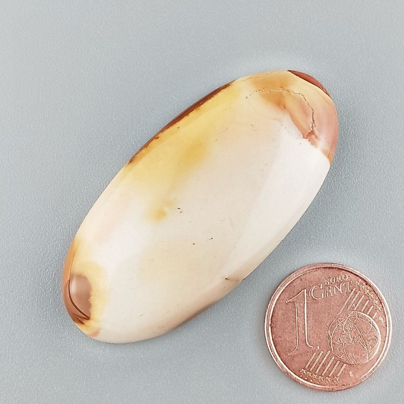 Cabochon di Diaspro Poligramma Naturale Ovale, Piatto e Liscio, 44x21 mm, 8,82 g, Fatto a Mano