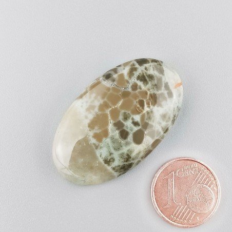 Diaspro Poligramma Naturale Forma Ovale Piatto Cabochon Liscio Fatto a Mano 36X21mm 7,65gm 1pz