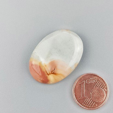 Diaspro Poligramma Naturale Forma Ovale Piatto Cabochon Liscio Fatto a Mano 28X19mm 5,20gm 1pz