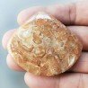 Kokoweef Cave Onyx Naturale Forma Fantasia Piatto Cabochon Liscio Fatto a Mano 52X46X5mm 20,40gm 1pz